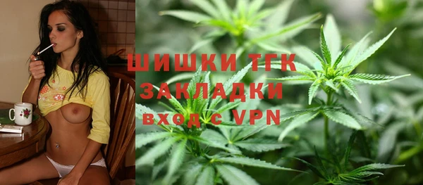 МДПВ Алзамай