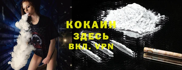 стаф Абинск