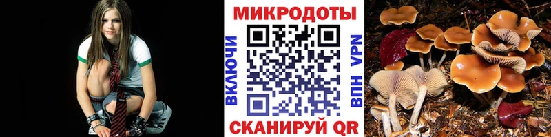 Галлюциногенные грибы Magic Shrooms Дубовка